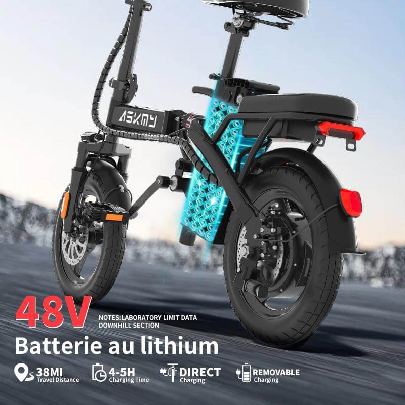 Foldable Electric Bike of E14: 800W Peak Motor 14" Tubeless Tires